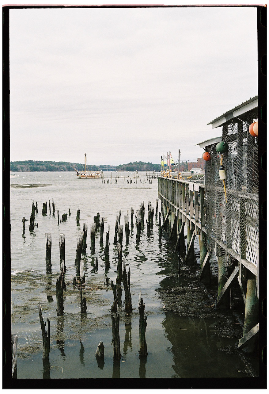 "Bonedock"- Wiscasset, ME