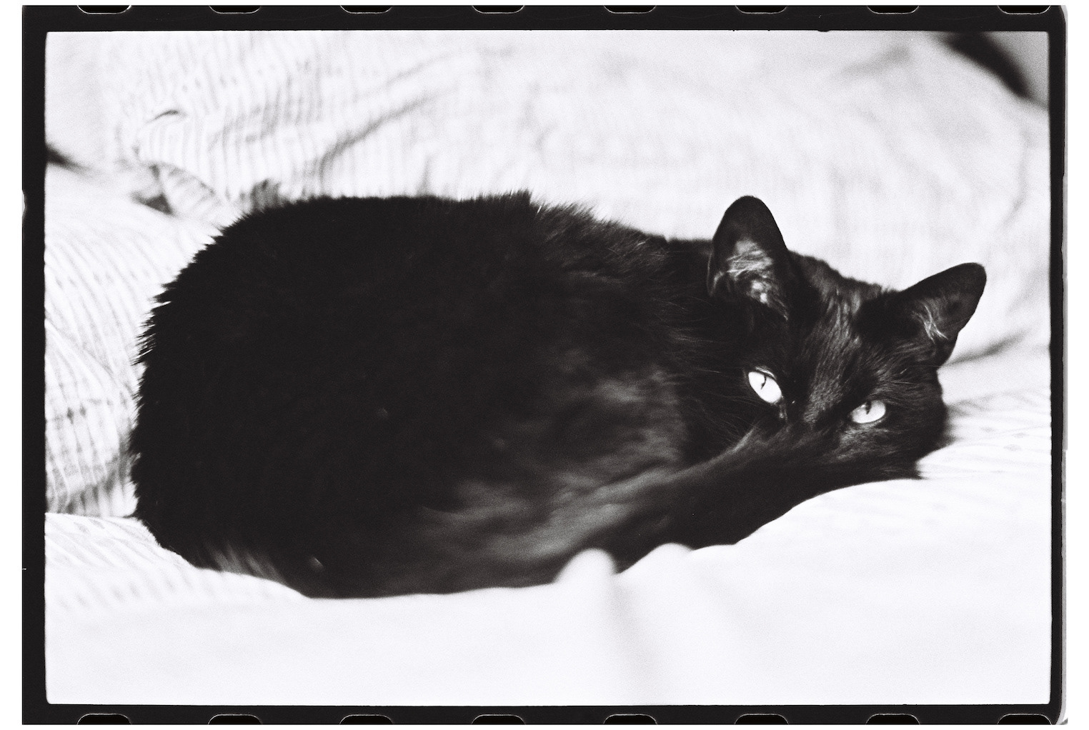 "Lounging in the Linens"- Biddeford, ME