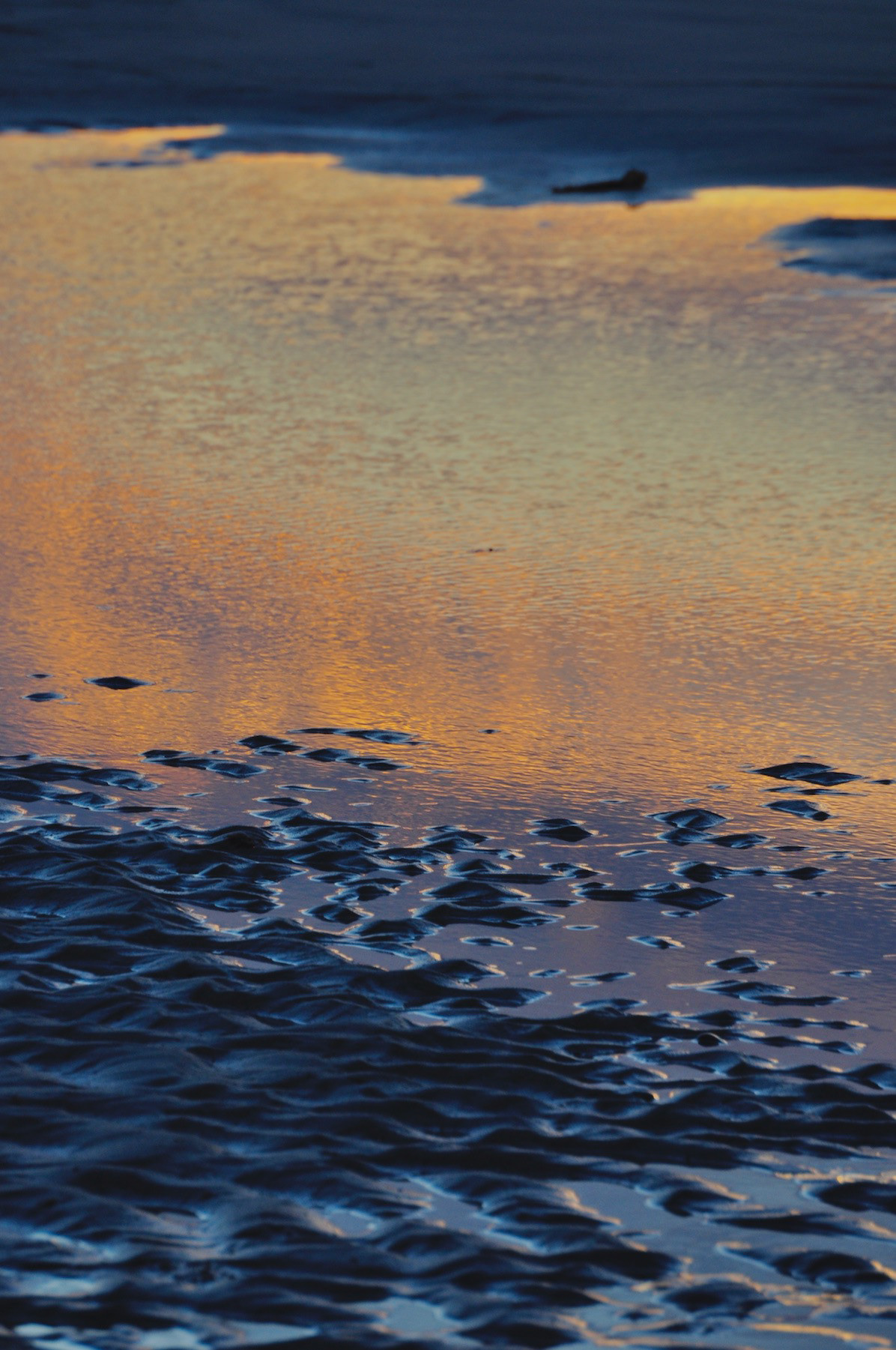 "Tide Pool in Pastel"- Biddeford Pool, ME