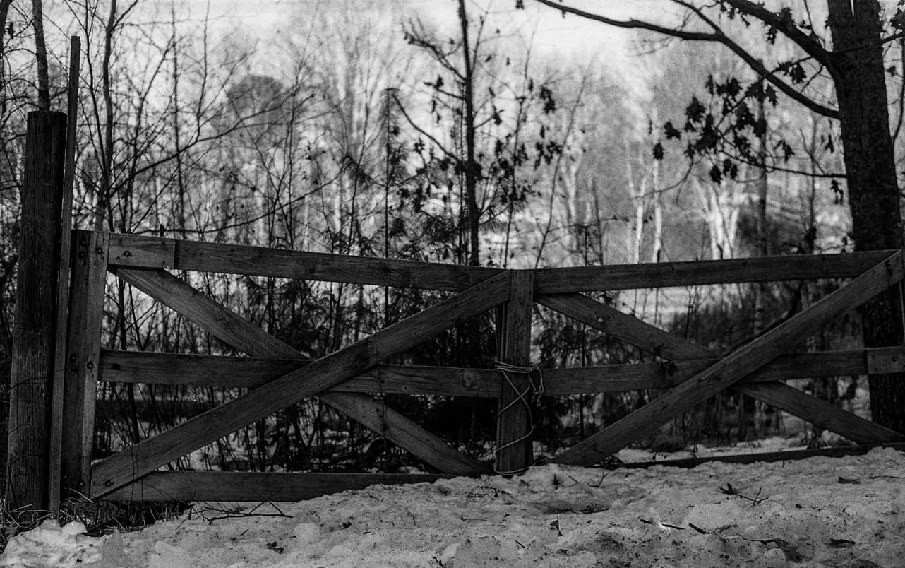 "Woodland Winter"- Kennebunk, ME