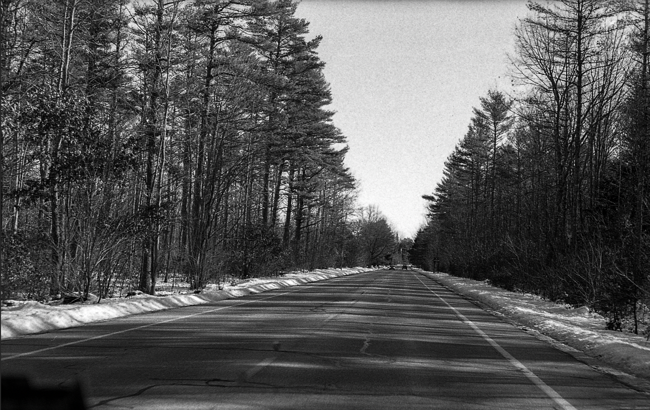 "In Motion: Road Forgotten"