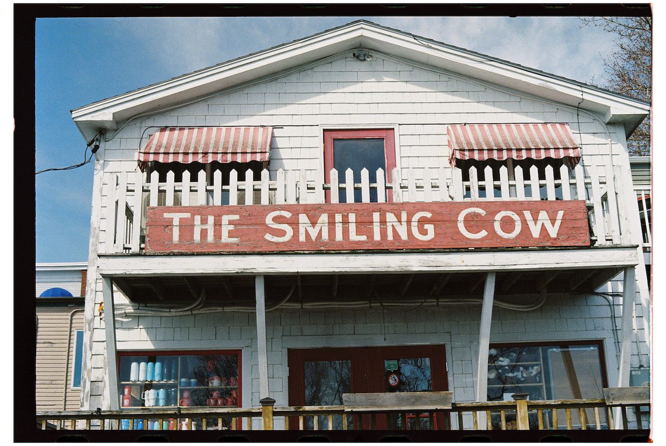 "The Smiling Cow"- Camden, ME
