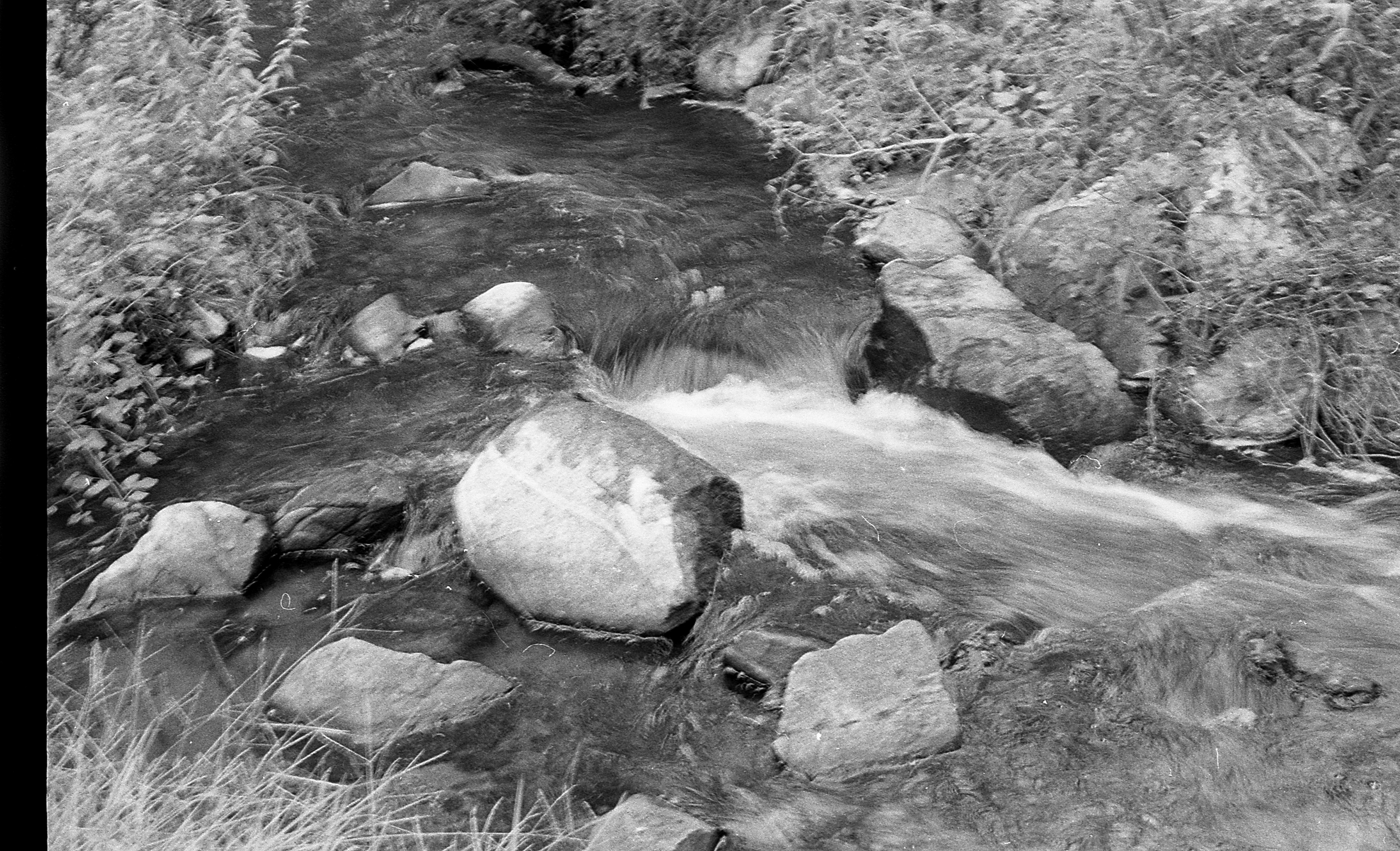 "Rocky Brook"- Sudbury, MA
