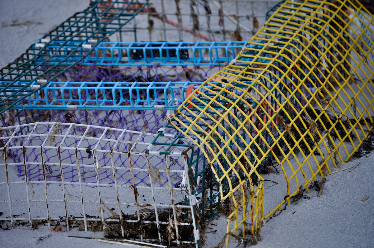 "Trap in Color"- Biddeford Pool, ME