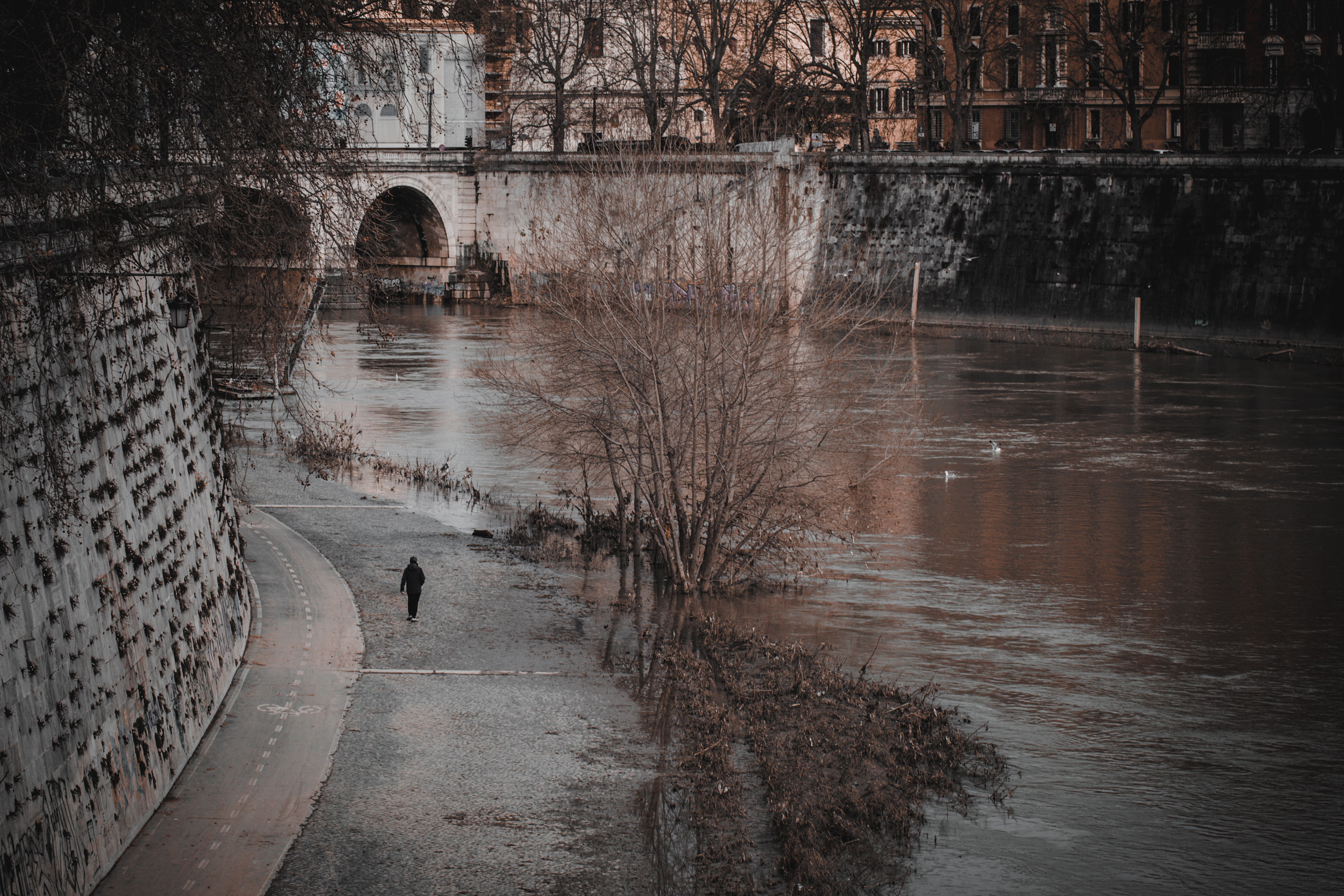 Lungo Tevere