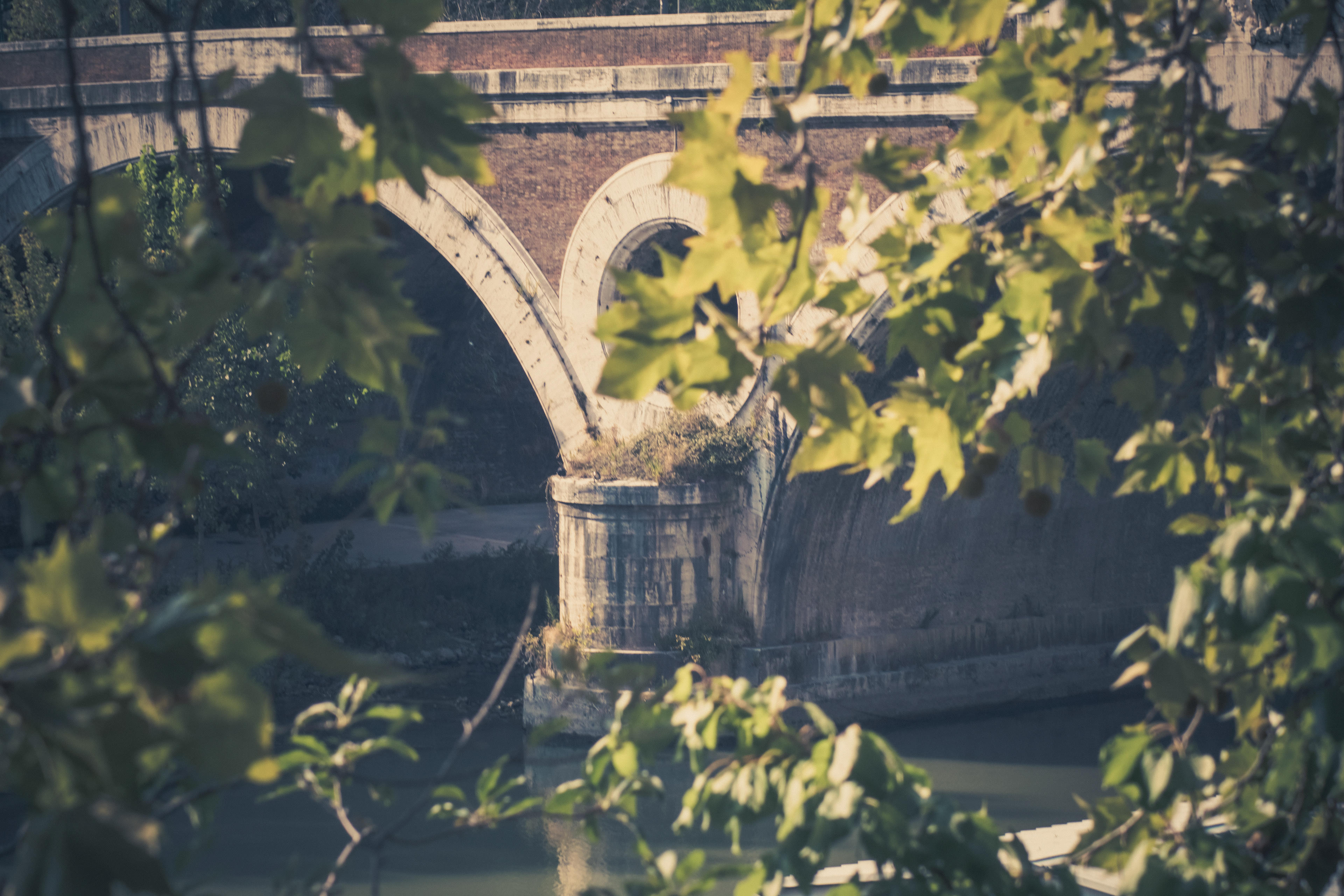 Lungo  Tevere