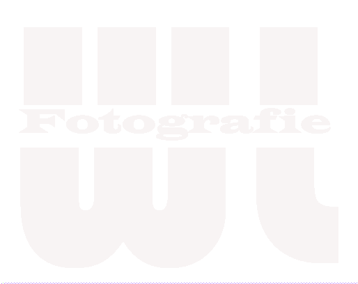 Werner Lootens