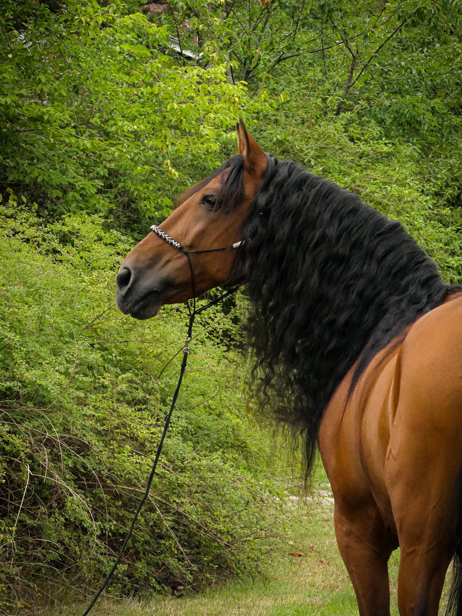 Foto von: Hermine Wilkens