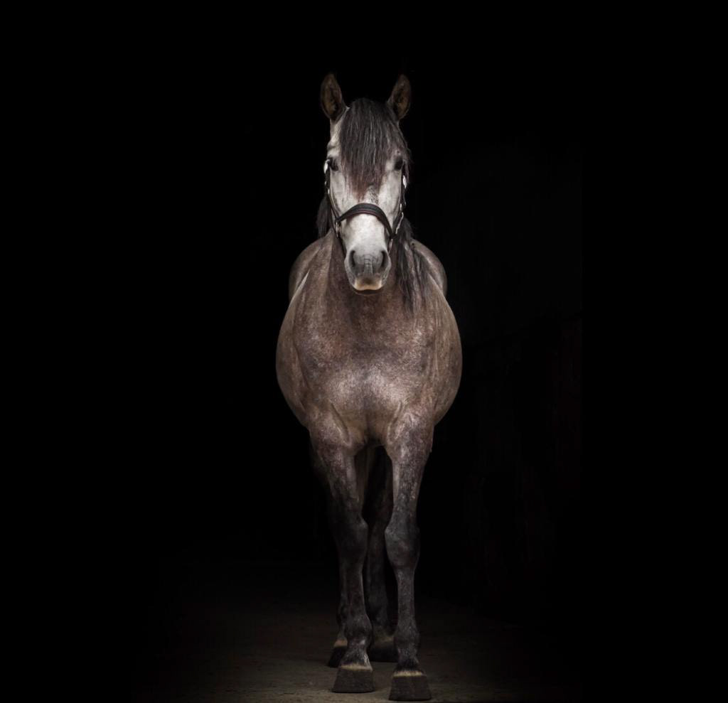 Foto von: Hermine Wilkens