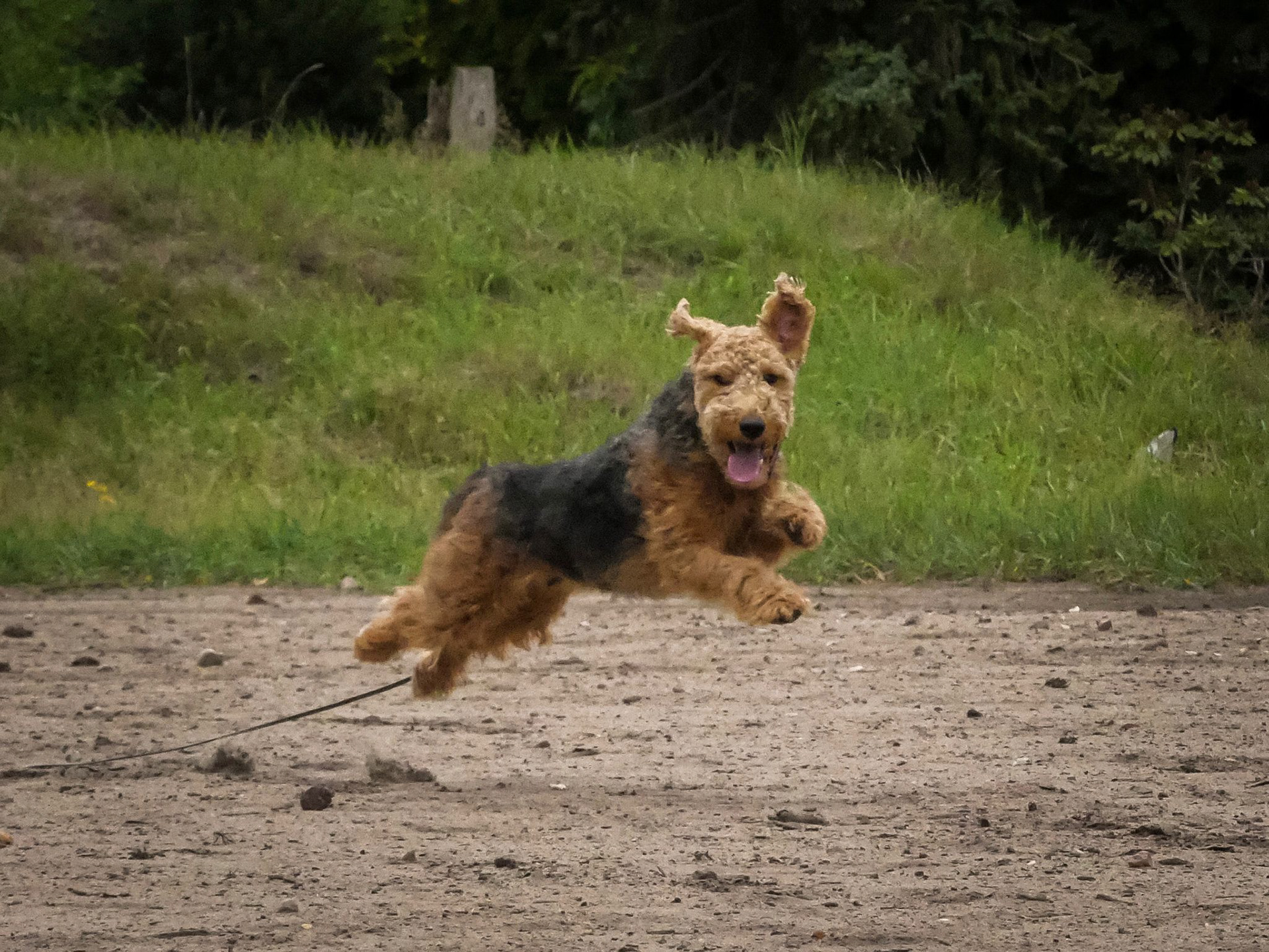 Foto von: Hermine Wilkens