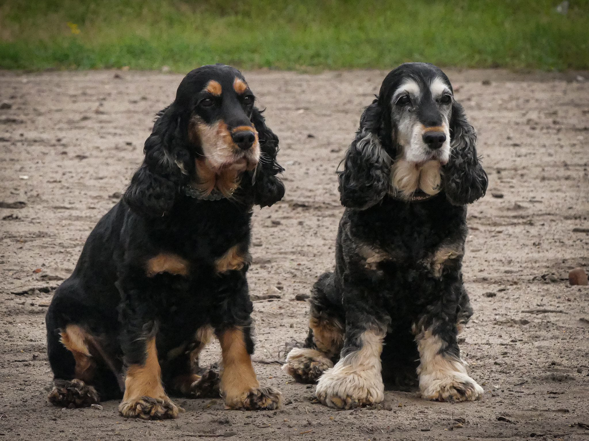 Foto von: Hermine Wilkens