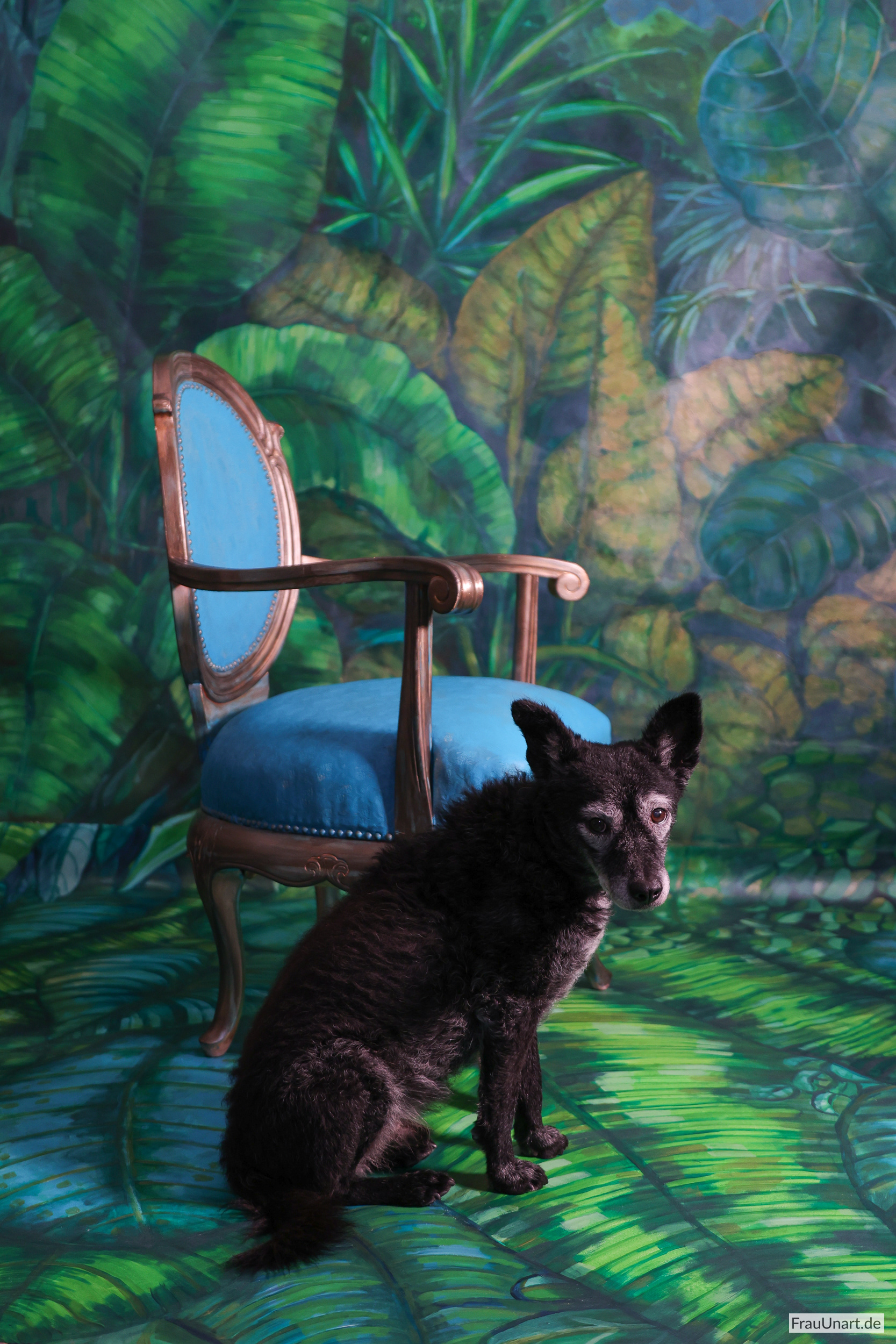 Mein Hund sitzt iin der Dschungel Hohlkehle, die aus bemalter Künstlerleinwand besteht.