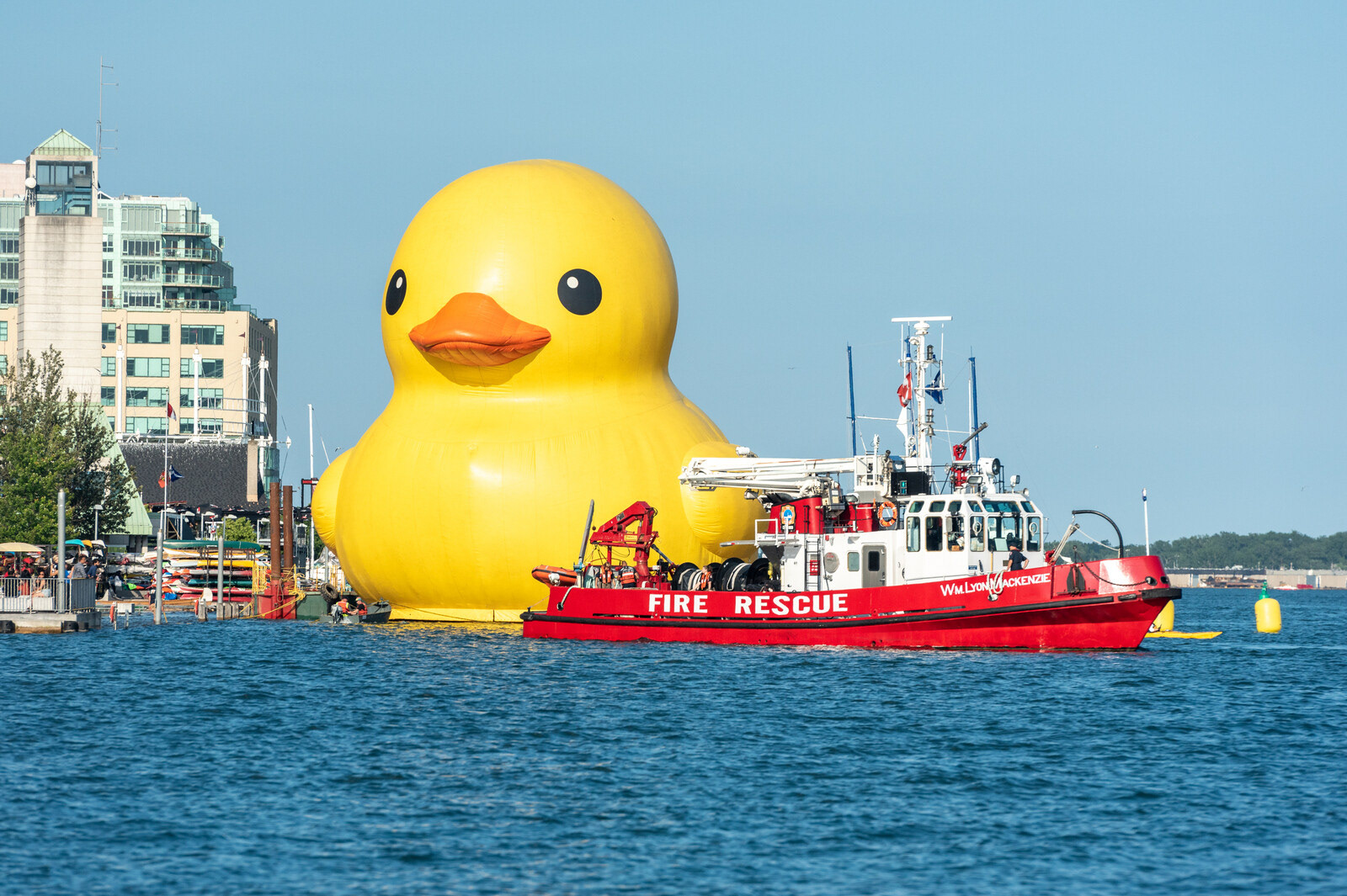 Pato Gigante en el 150 Aniversario de Canadá