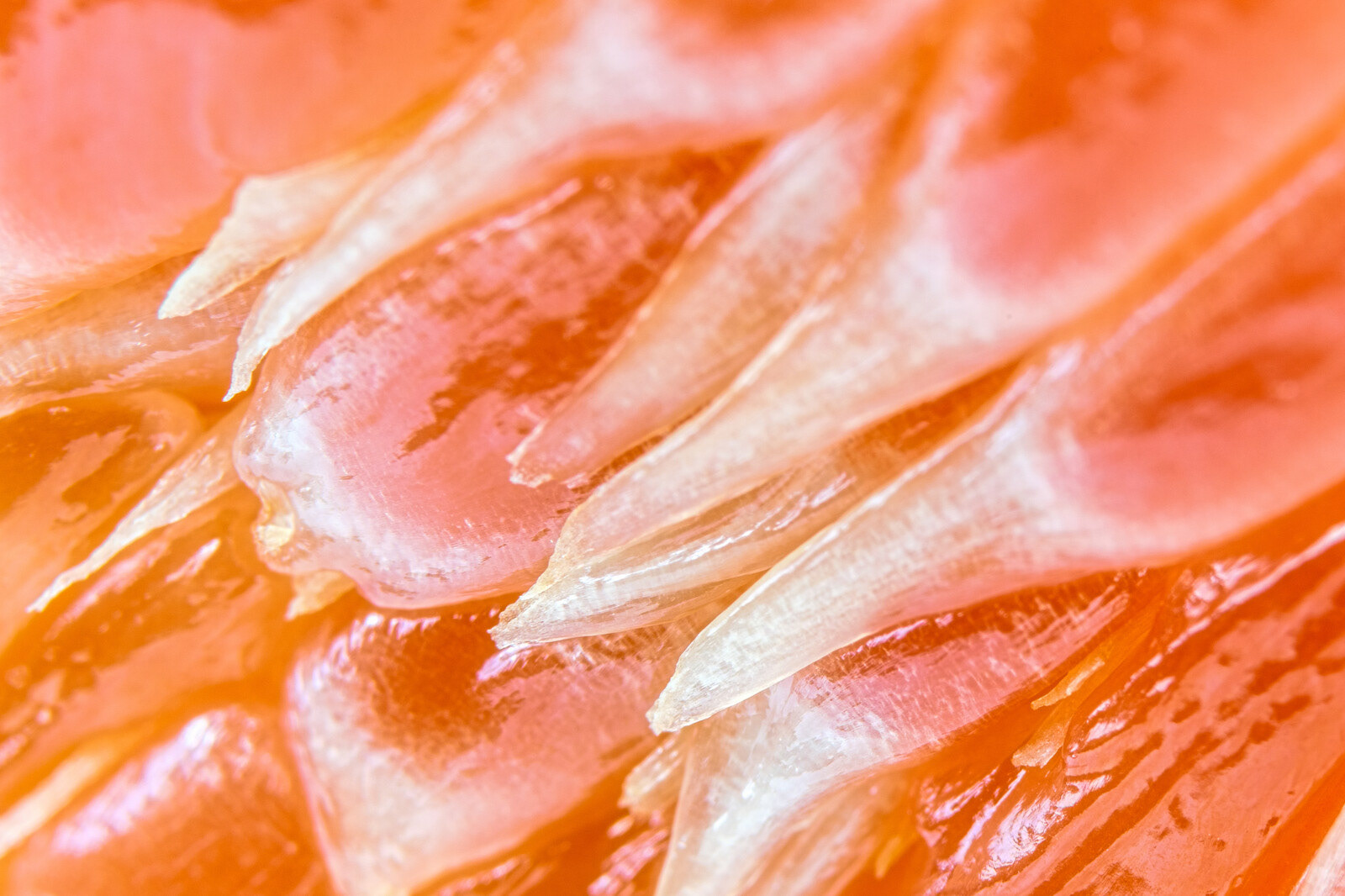 Inside a husk of a grapefruit