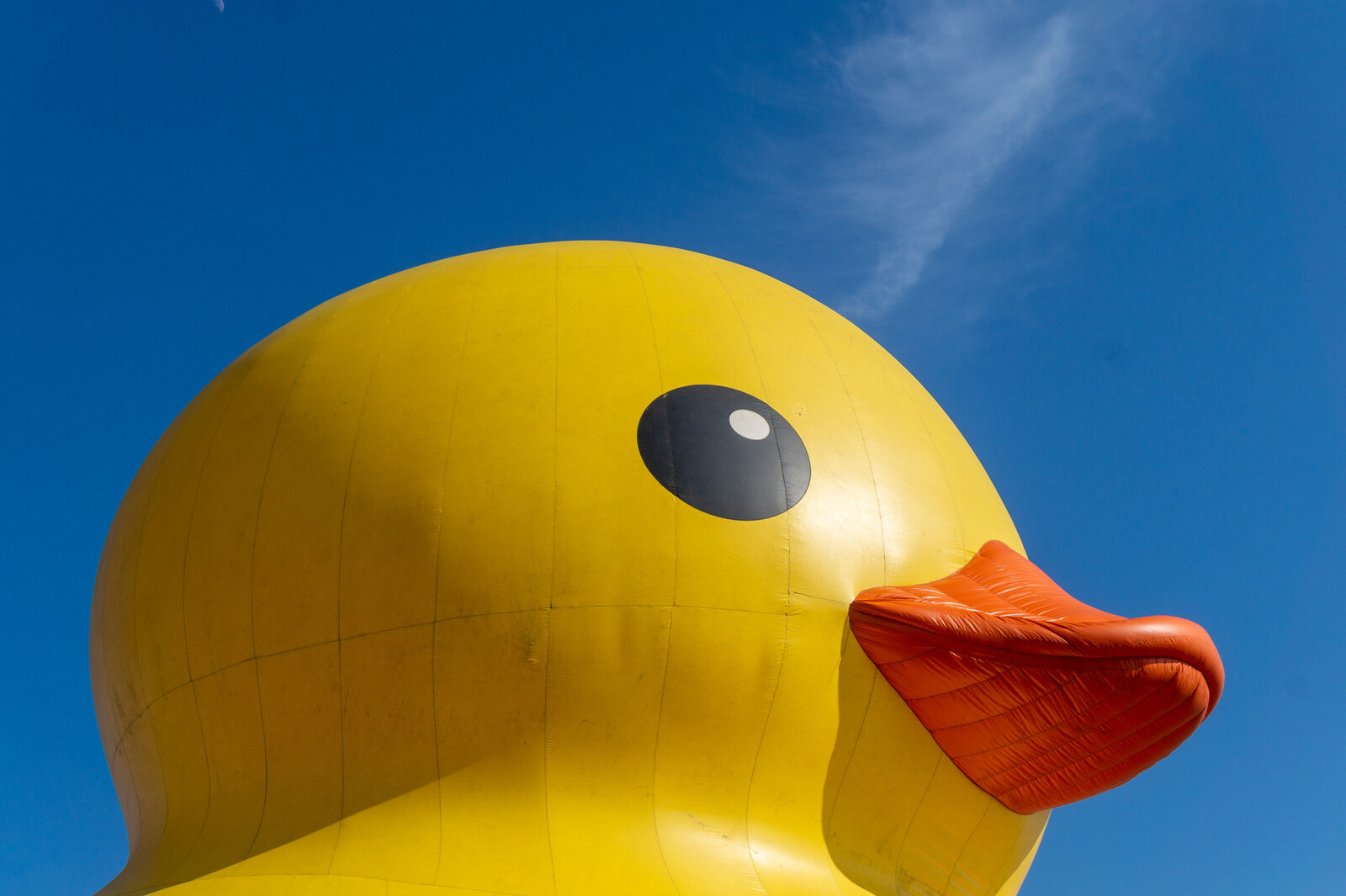 Pato Gigante en el 150 Aniversario de Canadá