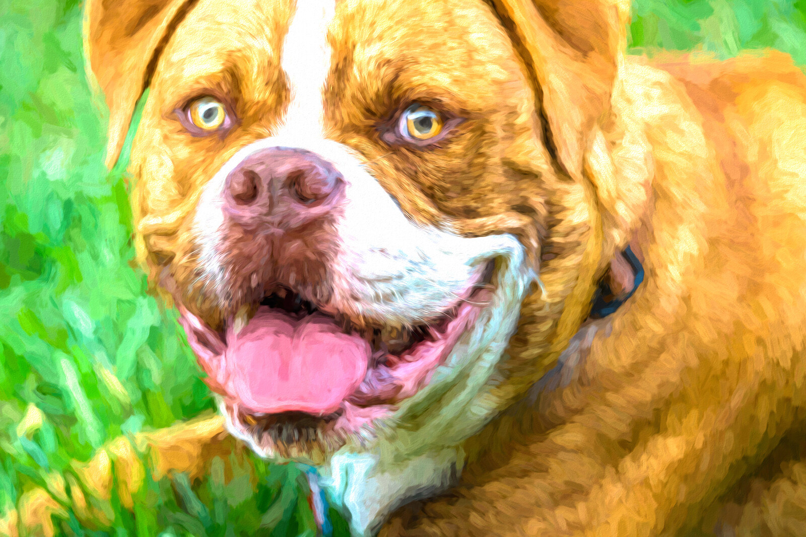 Arte a partir de fotos