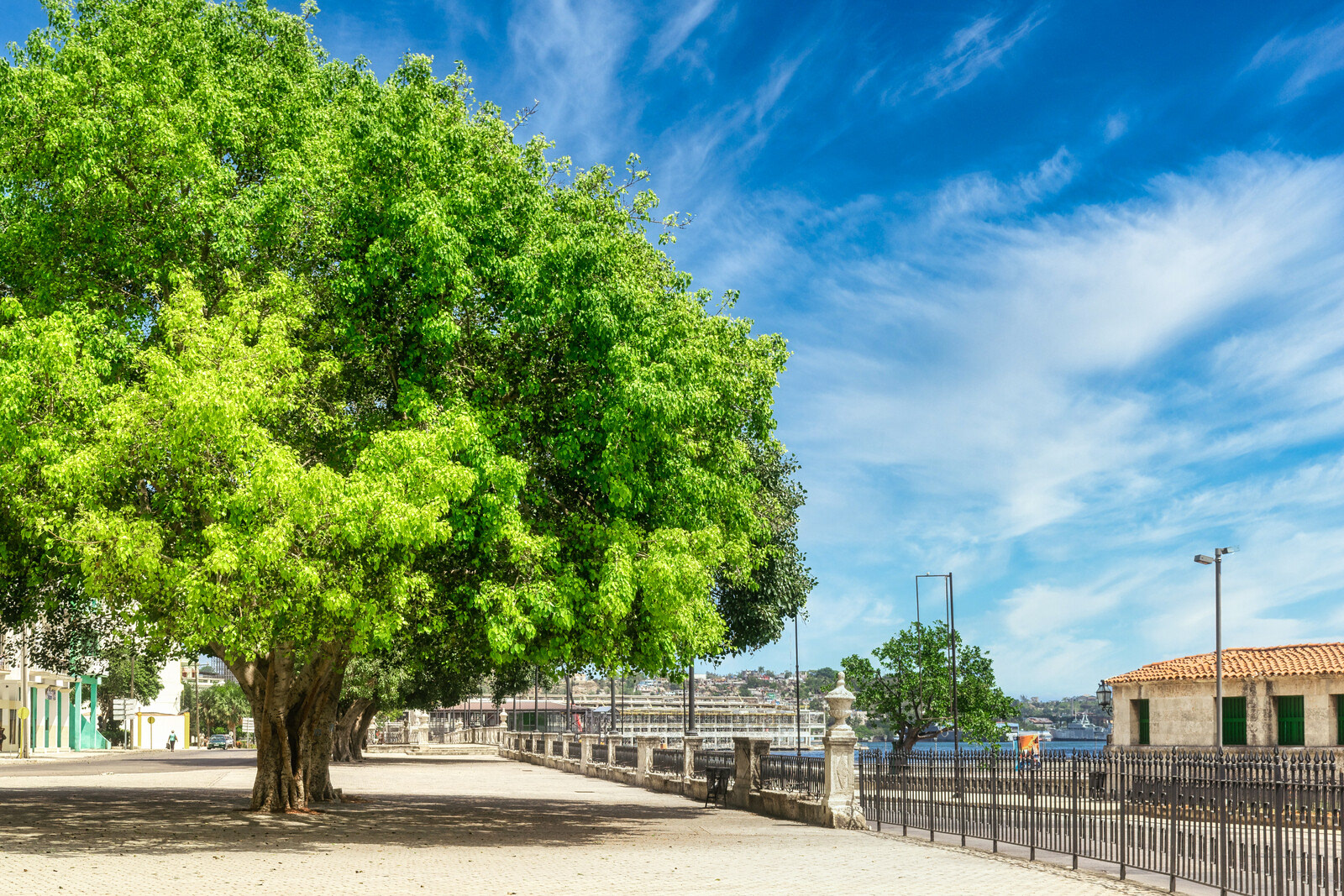 Alameda de Paula, Havana, Cuba