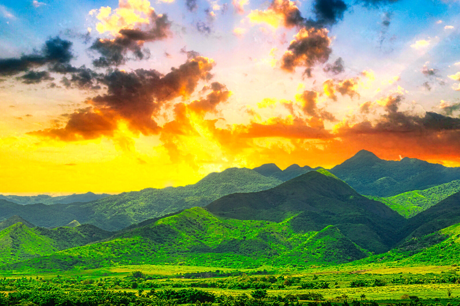 Fotografia de Naturaleza