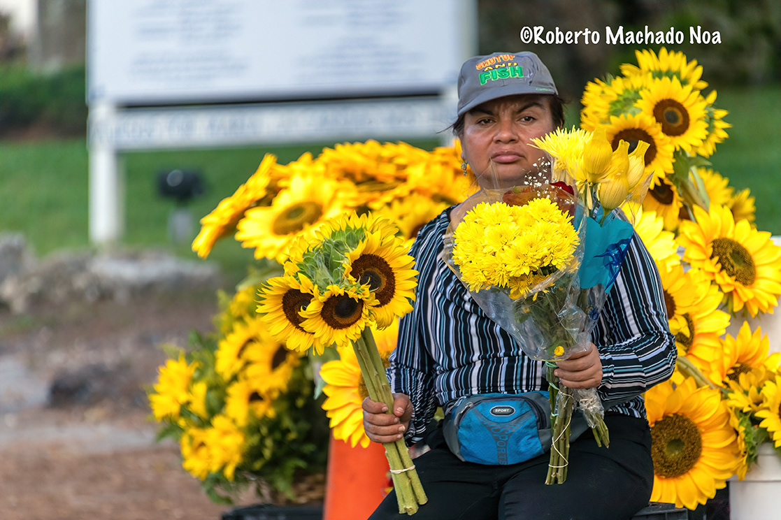 Mujer Hispana vendiendo girasoles a la entrada de la Ermita de la Caridad, Miami