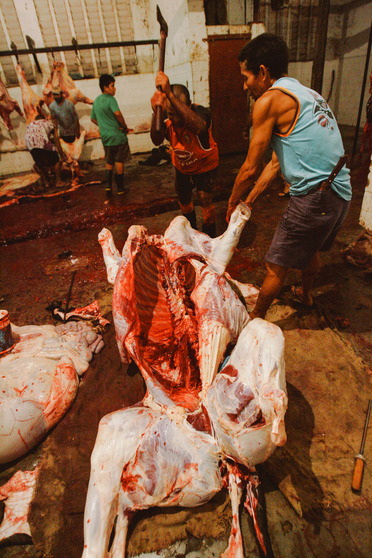 Cattle slaughterhouse