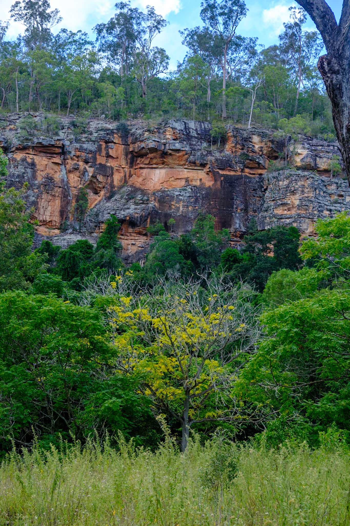 In Cania Gorge