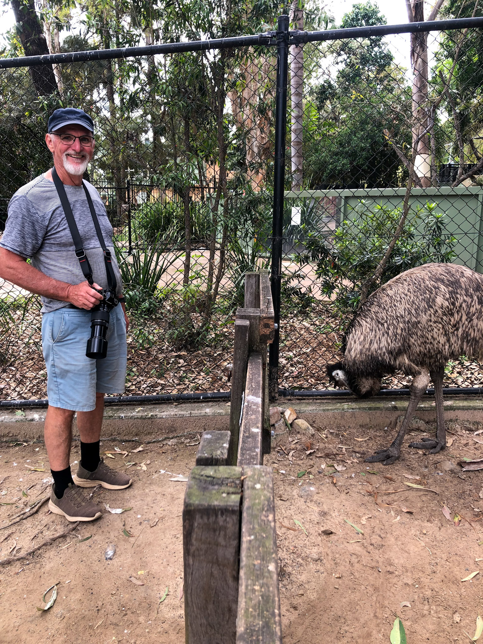 At Rockhampton Zoo