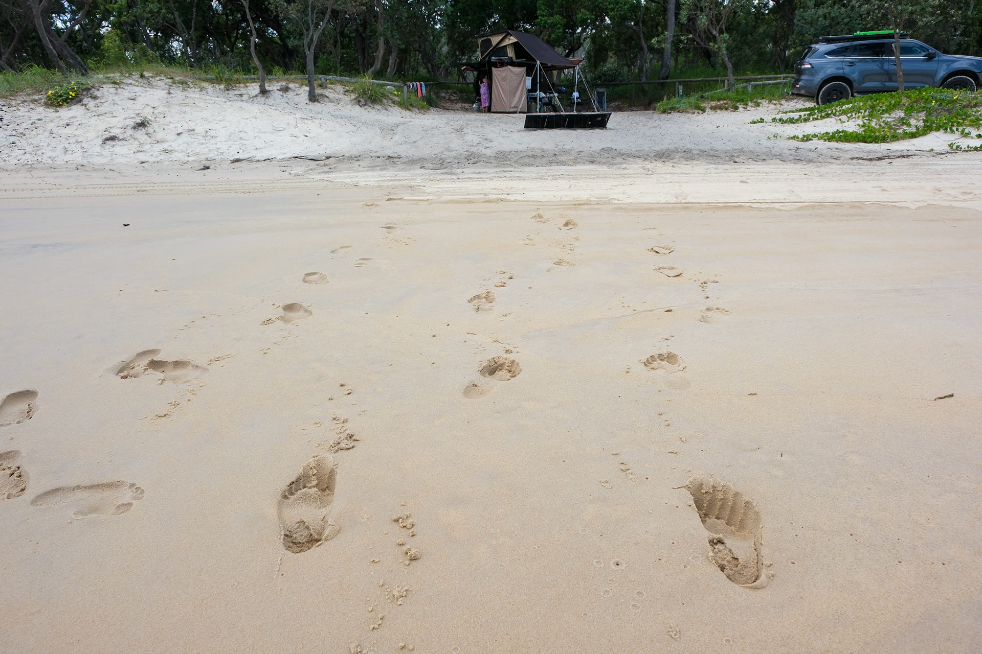 Moreton Island Trip