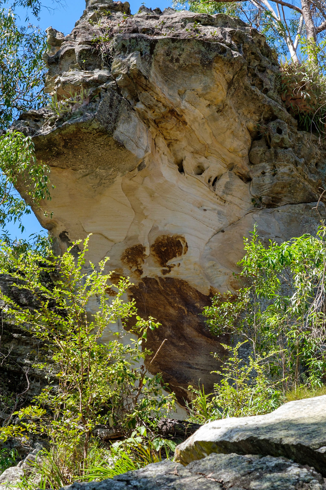 Cania Gorge - Big Foot