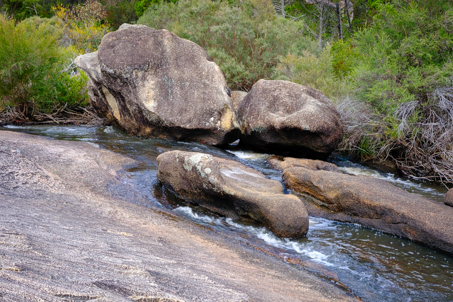 Bald Rock Creek