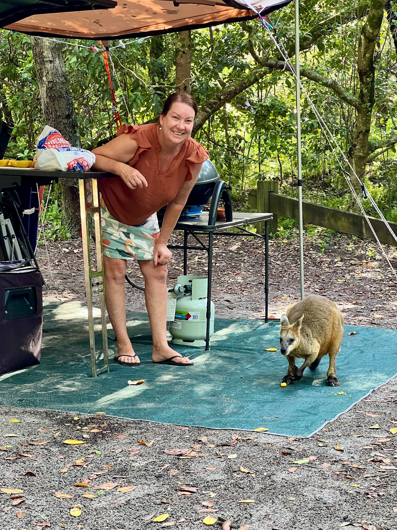 A wallaby visits our campsite