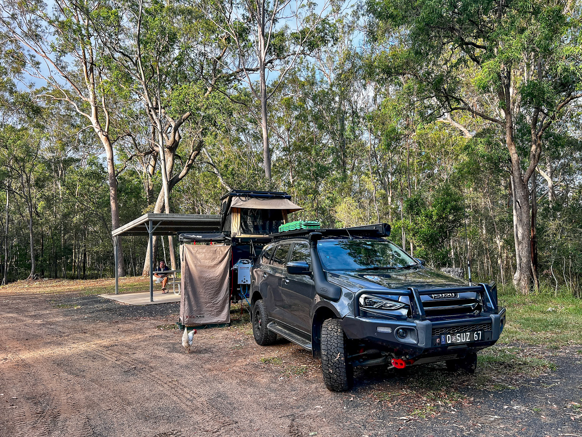 Overnight freecamp at Coominglah State Forest