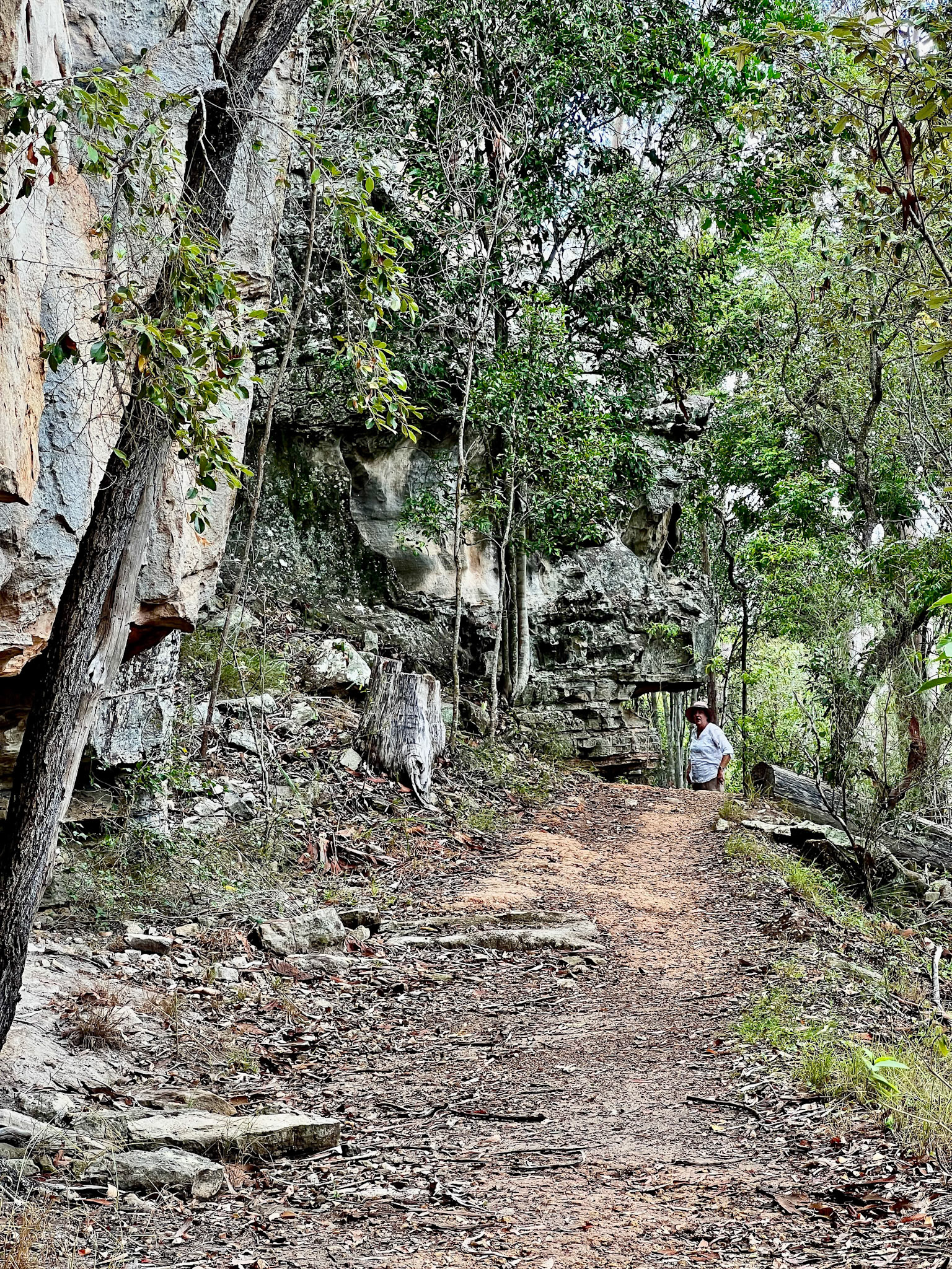 In Cania Gorge