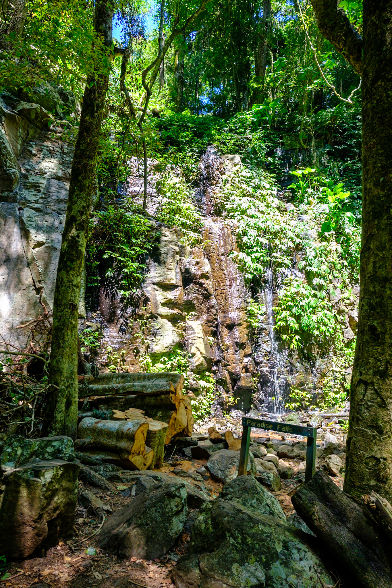 Bunya Mountains - Paradise Falls