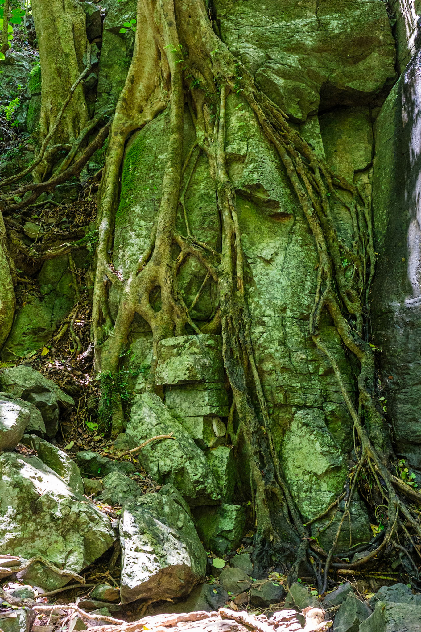 On the Paradise Falls walk