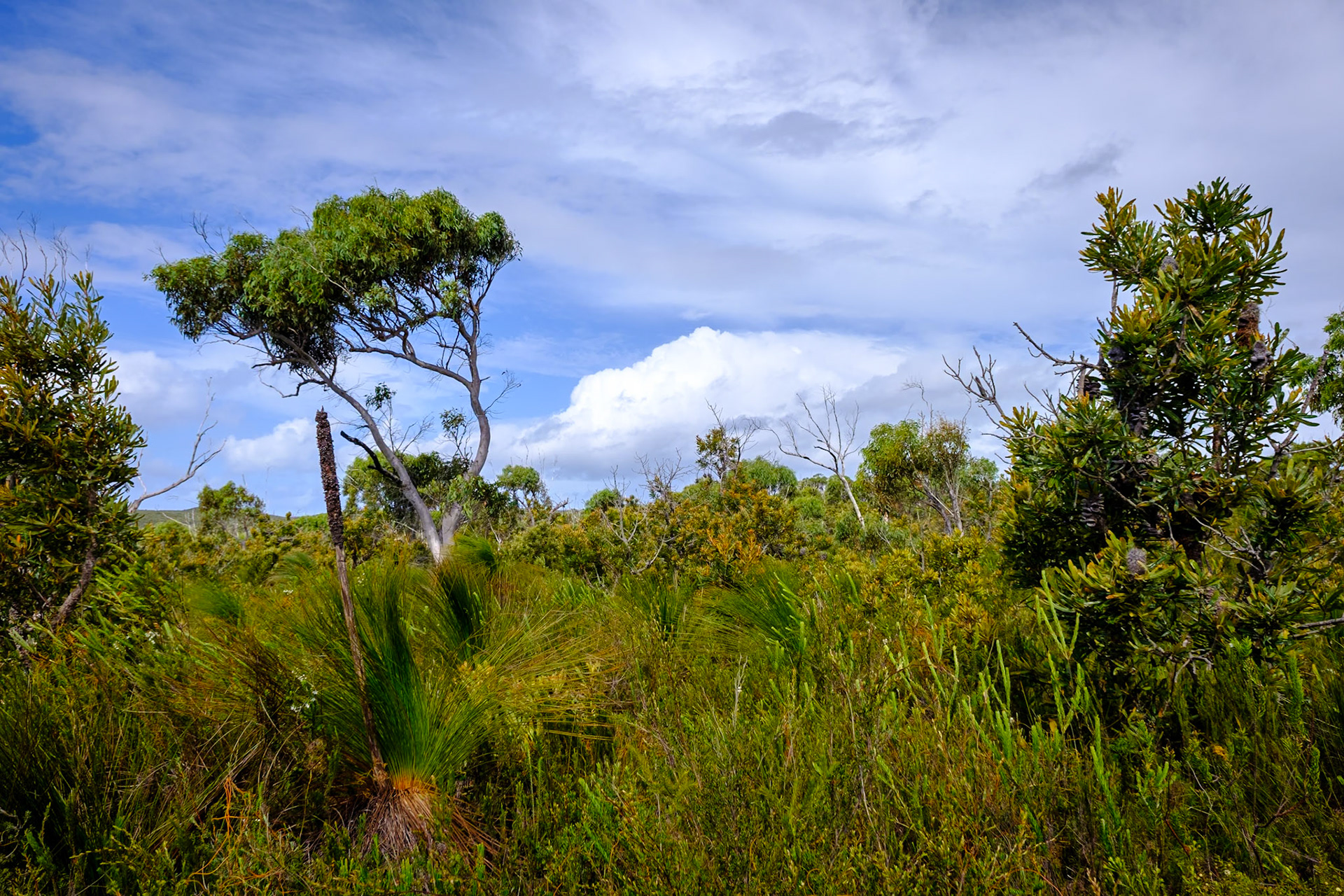 North Point Track, Moreton Island