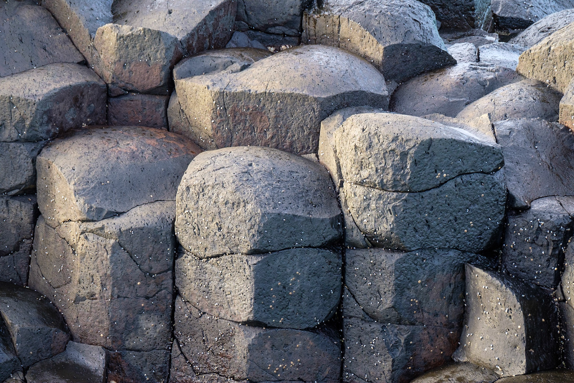 Fingal Head basalt columns