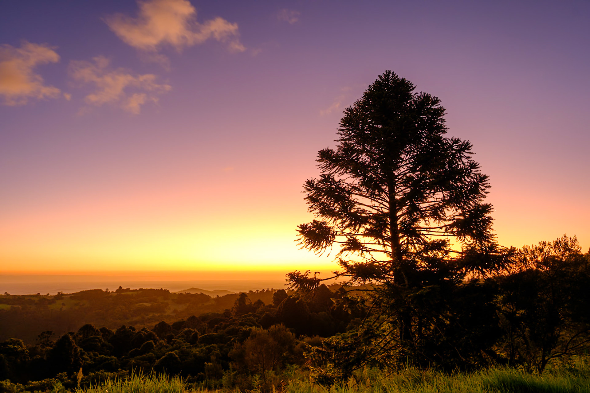 Bunya Mountains - Late afternoon & sunset from Fishers Lookout