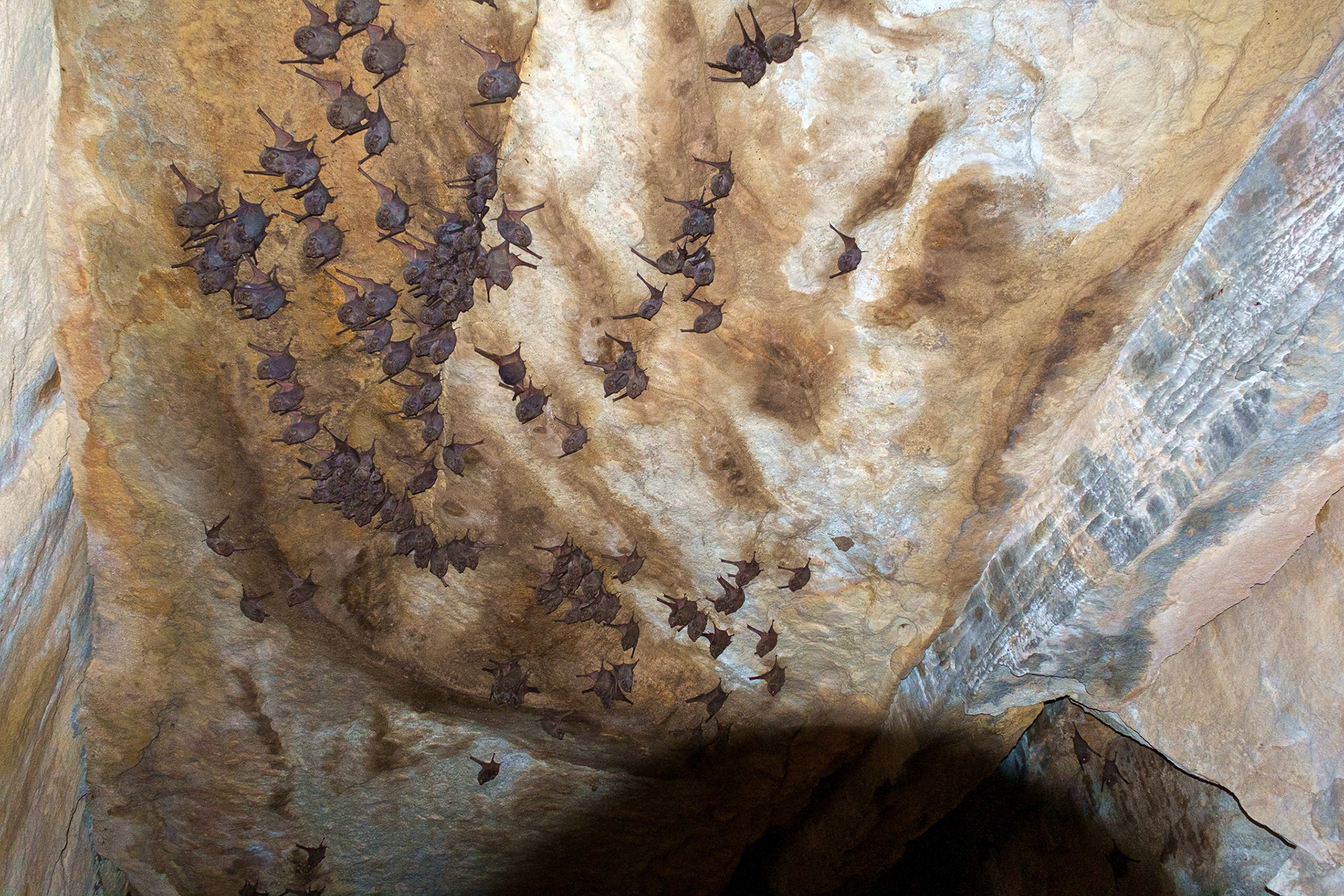 Cania Gorge - Two Storey Cave