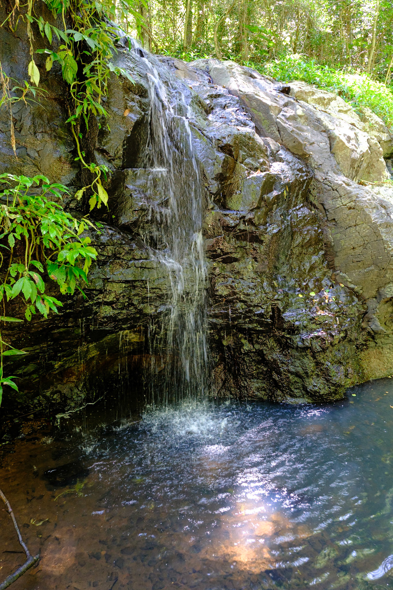 Bunya Mountains - Little Falls