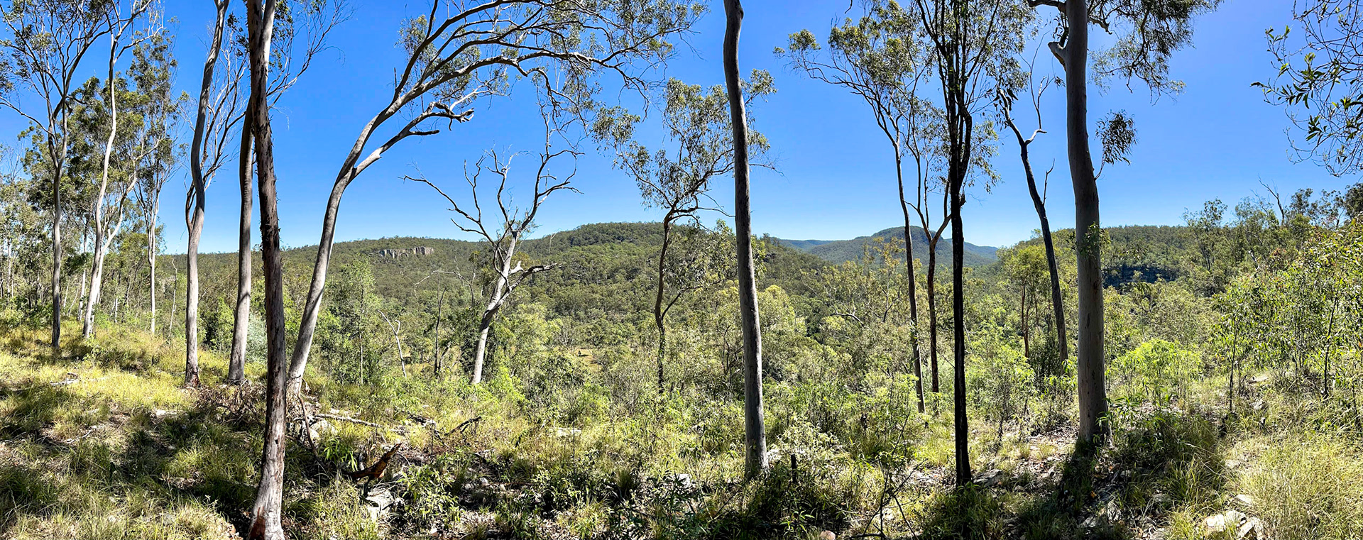 Cania Gorge - Gorge Lookout