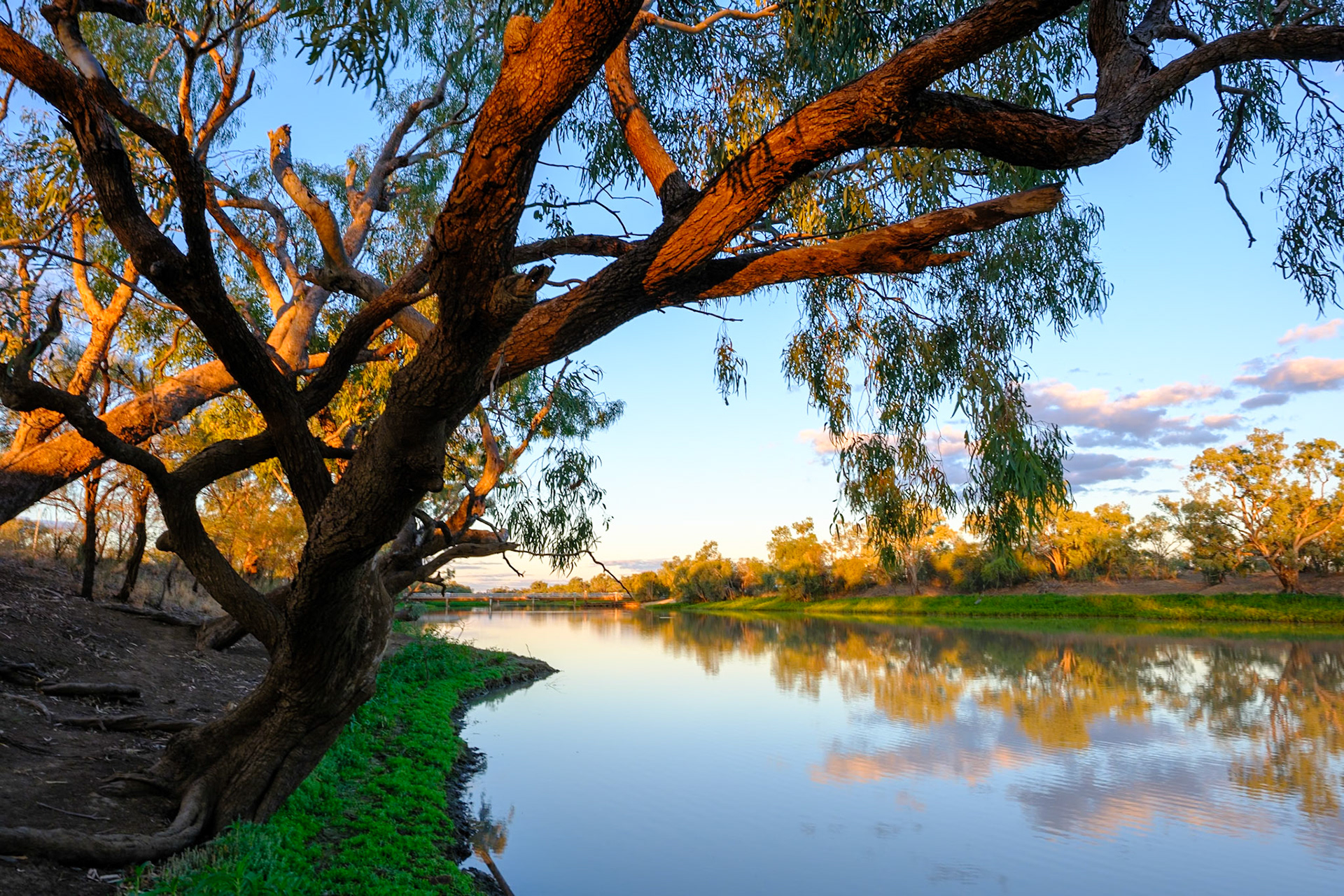 Late afternoon by the Thomson River