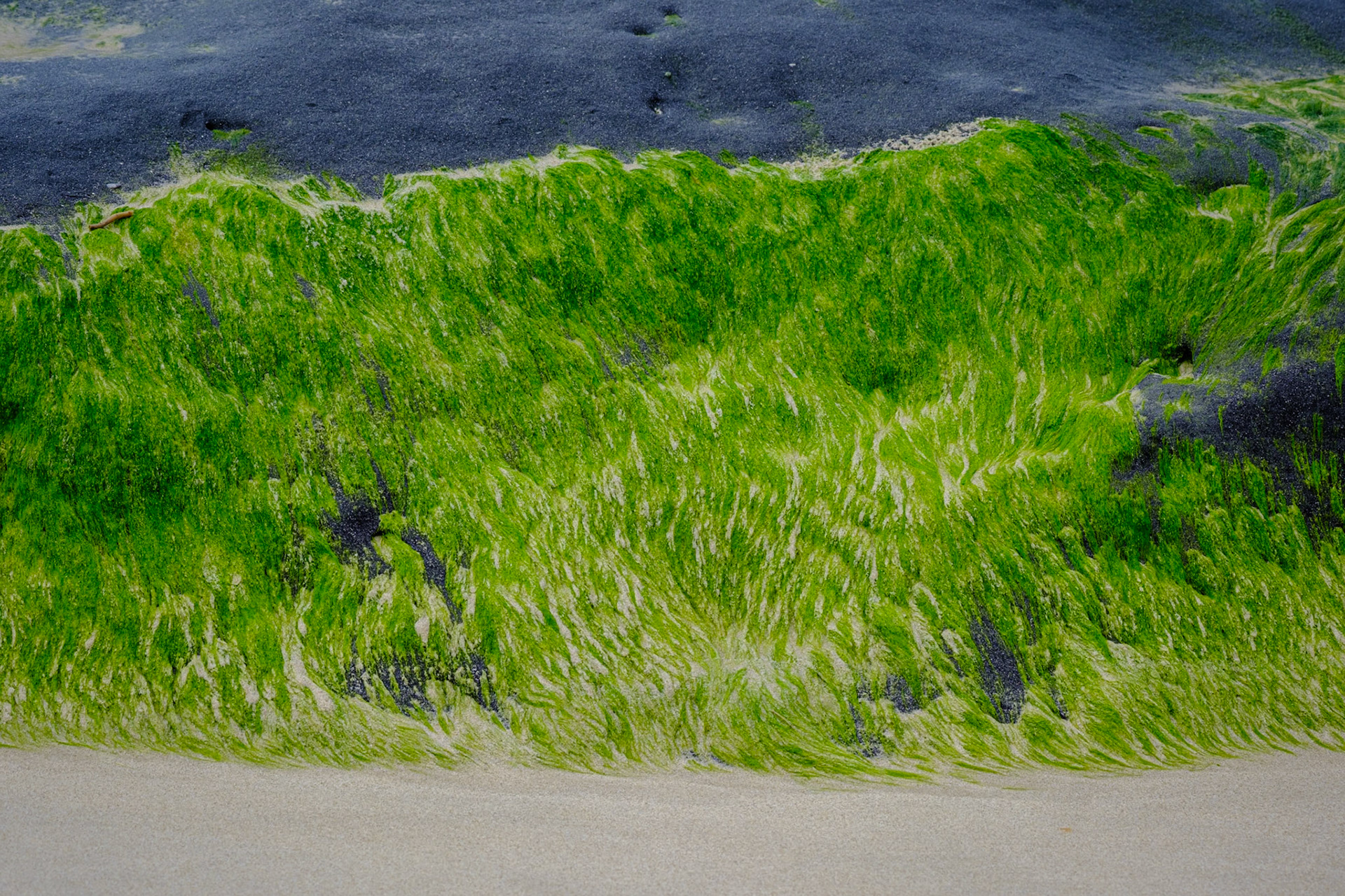 At Minbanba-Black Rocks - 10 Mile Beach