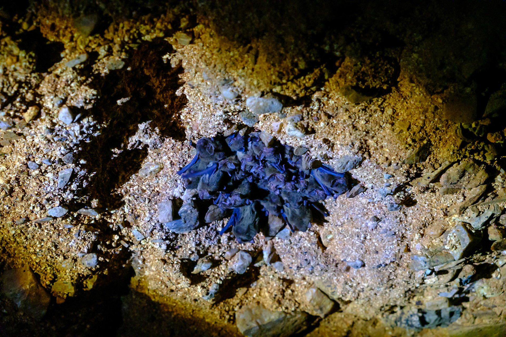 Miners Heritage Walk In Sapphire Mine
