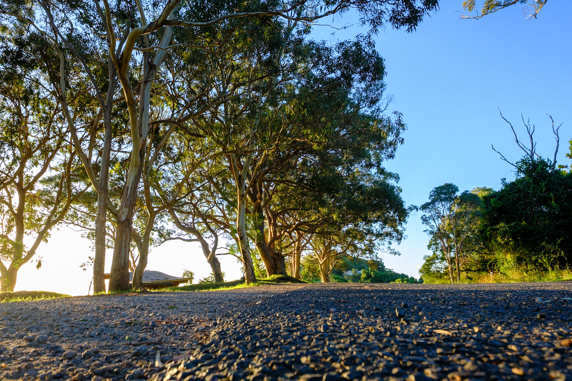 Bunya Mountains - Late afternoon & sunset from Fishers Lookout