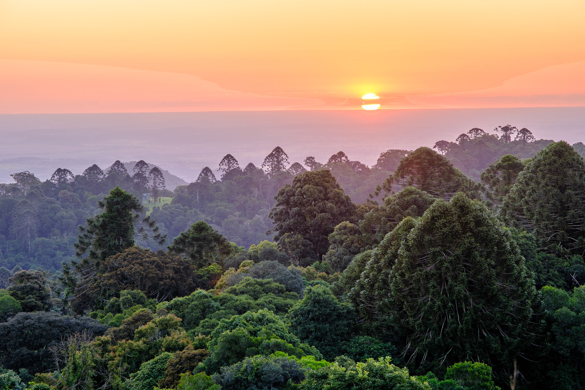 Bunya Mountains - Late afternoon & sunset from Fishers Lookout