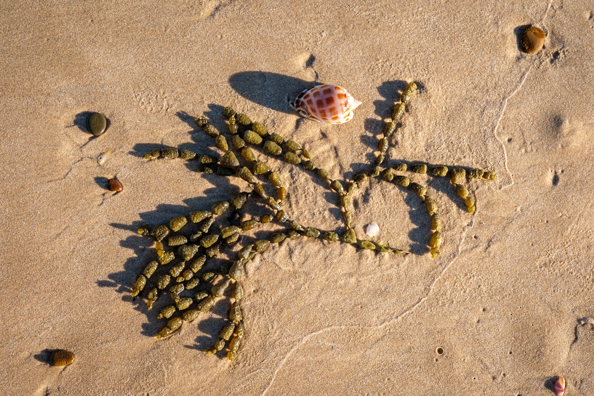 At Minbanba-Black Rocks - 10 Mile Beach