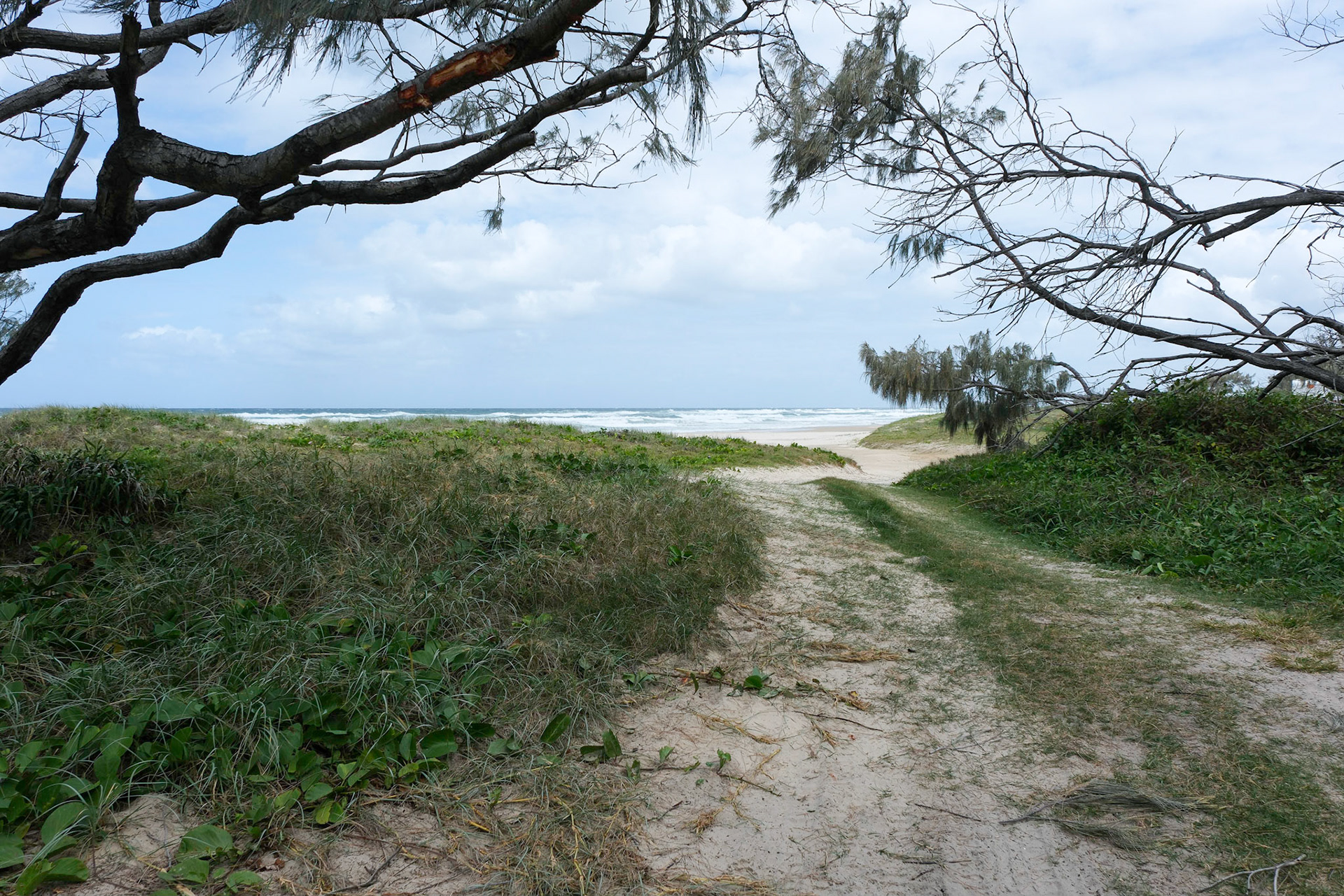 Camping Trip to Teewah Beach (Camping Zone 3)