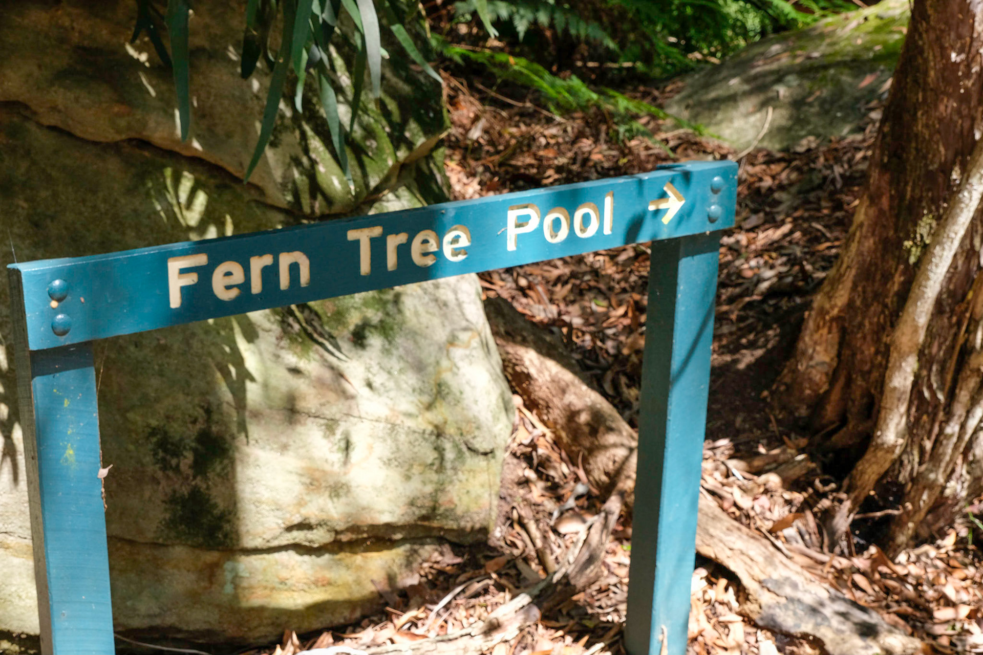 Cania Gorge - Fern Tree Pool