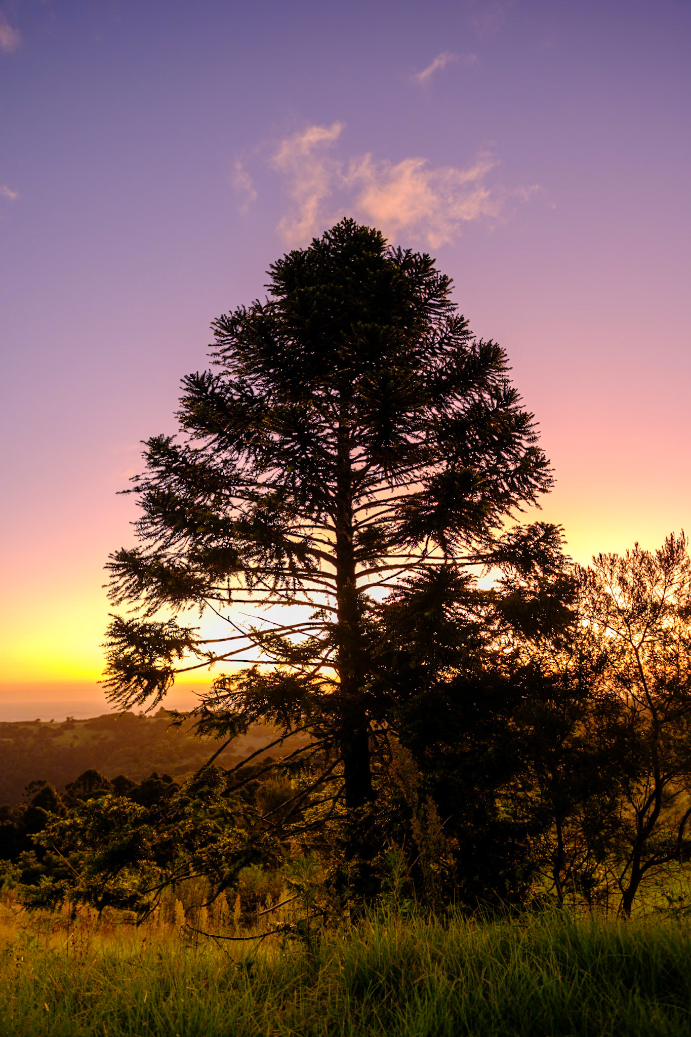 Bunya Mountains - Late afternoon & sunset from Fishers Lookout