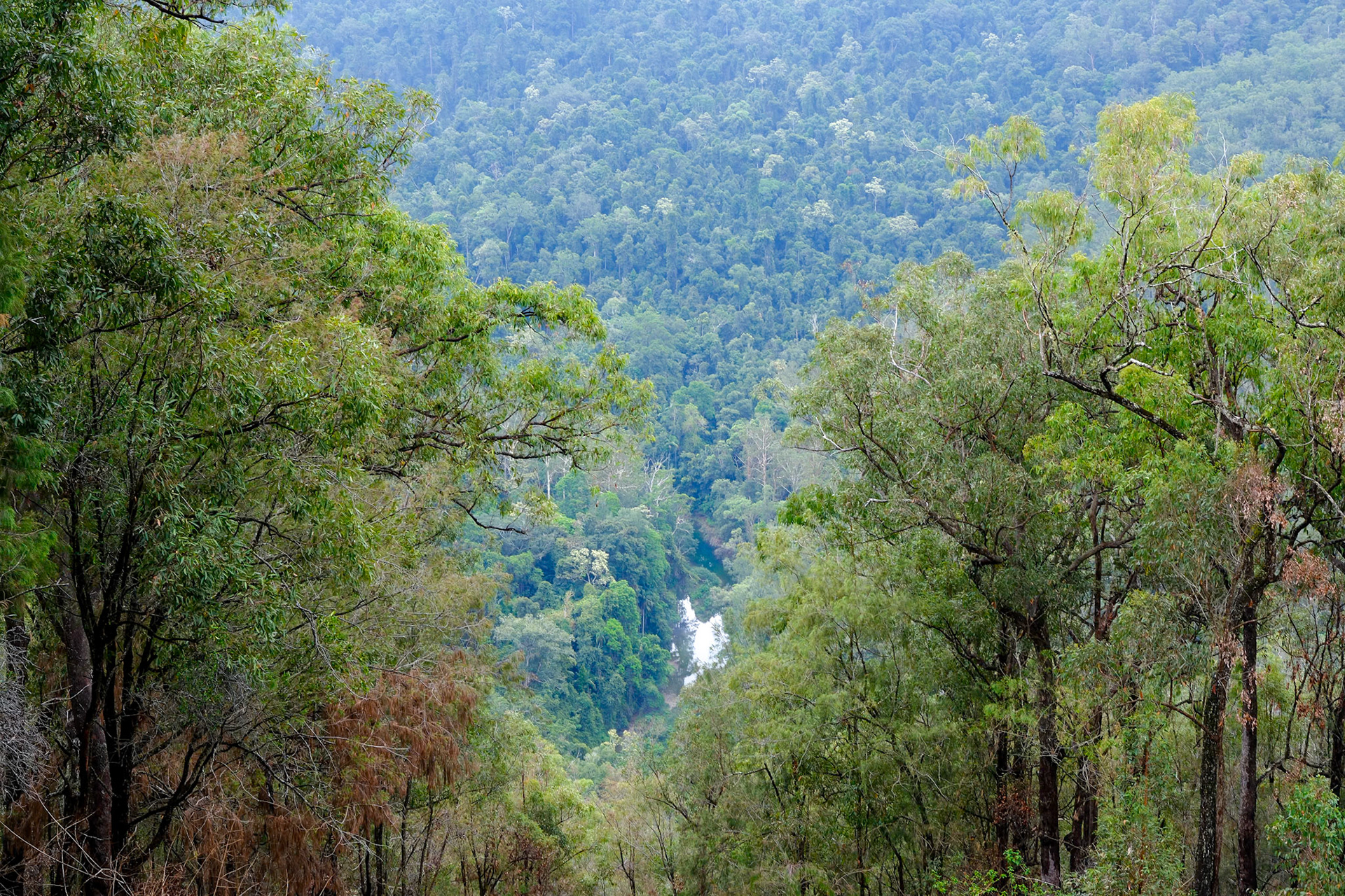 Camping at Bouloumba Creek, Conandale National Park
